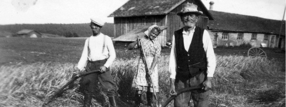 Simplicity Theme by D5 Creation